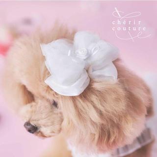 【PET PARADISE】寵物玫瑰紗網緞髮夾/白｜cherircouture 2026全新春裝系列 高級面料 寵物髮夾