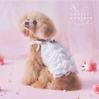 【PET PARADISE】寵物玫瑰吊帶背心 (SS/DS)｜cherircouture 2026全新春裝系列 高級面料