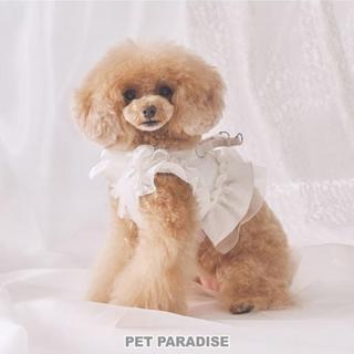 【PET PARADISE】荷葉邊網紗寵物外出胸背/白 (3S)｜cherircouture 2025春裝新款 高級面料