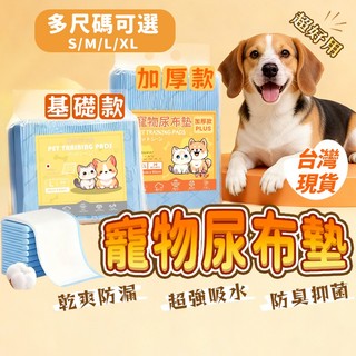 寵物尿布墊 🐶台灣監製🔥尿布墊 尿布 尿墊 寵物尿墊 狗狗尿墊 寵物尿布 狗尿墊 狗尿布墊 狗尿布 吸水