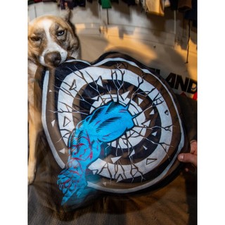 SANTA CRUZ Roskopp Target Santa Cruz Pillow抱枕 雙面 經典滑板老牌 吶喊手