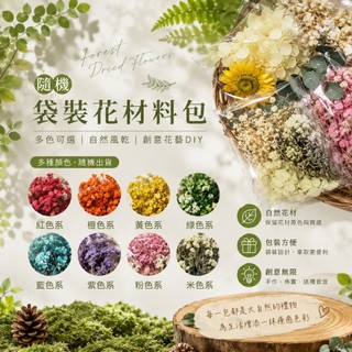 DIY乾燥花 乾燥花材料包 袋裝花材 乾燥花 永生花 DIY花材 居家裝飾
