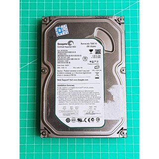 Seagate希捷 3.5吋 250GB(250G) SATA硬碟 ST3250410AS (不良瑕疵/A248)