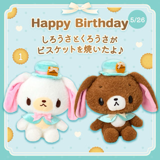 部份現貨🤎蜜糖邦尼🤍Sugarbunnies🐰2026生日紀念 奶油餅乾系列🍪 娃娃 娃娃吊飾 Sanrio 三麗鷗