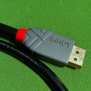 DISPLAYPORT 1.4版 公TO公 傳輸線 1M LINDY林帝 ANTHRA