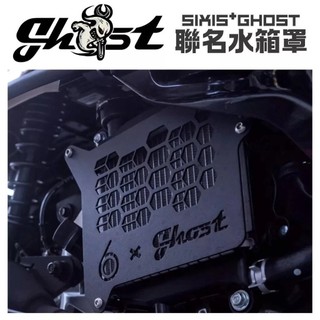 Oyzz SYM 白鐵水箱護網 Ghost SIXIS 聯名水箱罩 DRG 曼巴 JETSL FIDDLE