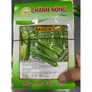 Hạt giống bầu sao 15-20 hạt túi F1