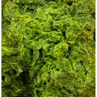 Emily澎湖名產直送🚚 天然海菜300g 澎湖海菜 海菜 澎湖天然海菜
