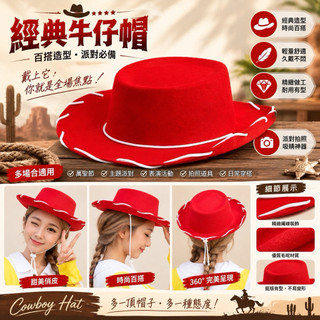 【台灣現貨 隔日到貨】萬聖節玩具總動員胡迪翠絲帽子玩總配件