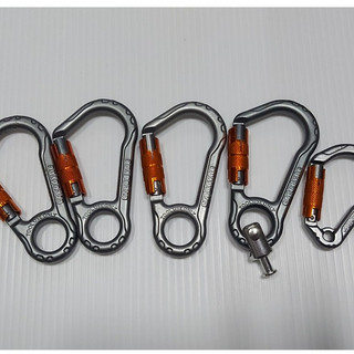 鋁合金 ergodyne 登山扣 5個 輕量 登山扣 # 東