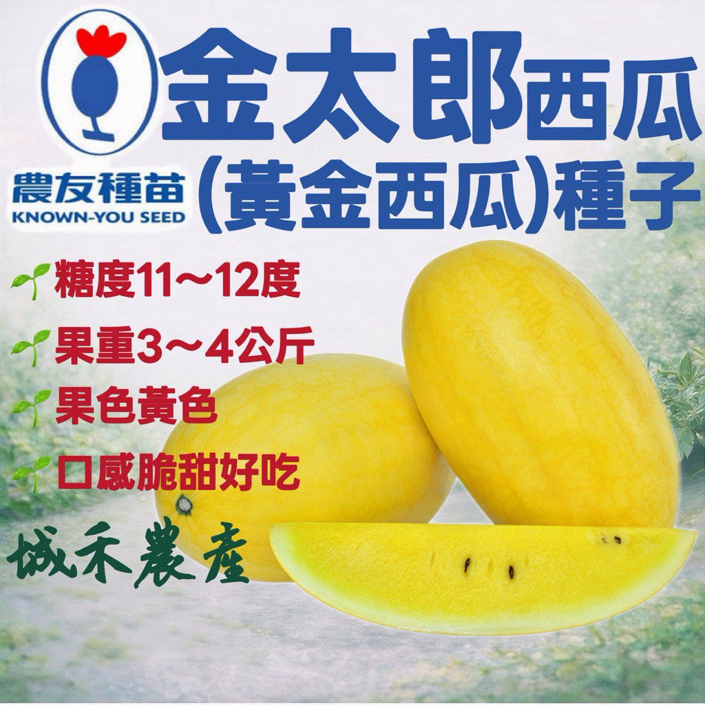 城禾農產🍃 農友金太郎西瓜種子 18粒 金太郎西瓜種子 農友西瓜種子 黃皮西瓜種子 黃西瓜種子 西瓜種子 農友黃西瓜種子