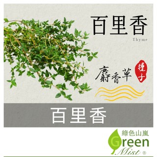 百里香(約200粒種子) 麝香草 thyme香草種子【綠色山嵐】