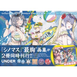 【現貨供應中】忍者大師 閃亂神樂 NEW LINK 公式插畫集 ILLUSTRATIONS BOOK 《UNDER》【東京卡通漫畫專賣店】