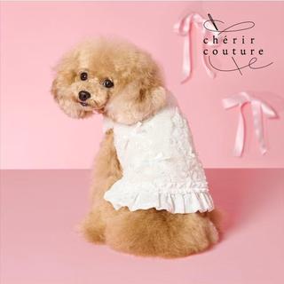 【PET PARADISE】寵物珍珠緞帶背心/白 (DS)｜cherircouture 2026全新春裝系列 寵物高級