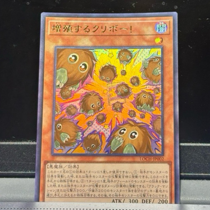 遊戲王 LOCH-JP002 增殖的栗子球! 金亮 美品