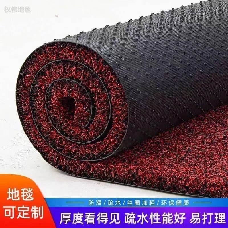 ⚡客製化⚡加厚絲圈地墊 入戶門口地墊 防滑地墊 超厚 刮泥地墊 玄關地墊 腳踏墊 絲圈地墊 耐磨 易打理 加厚汽車腳墊