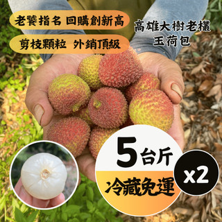 【預購優惠🔥】外銷頂級玉荷包34mm以上｜嚴選老欉・顆粒裝🍒5斤禮盒｜黑貓冷藏・產地直送(2盒~6盒下單連結)