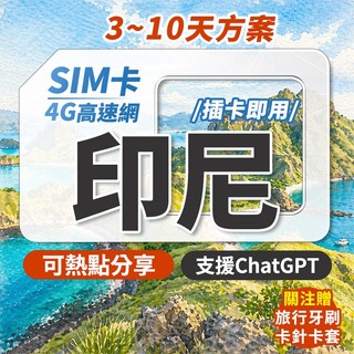印尼網絡卡 實體sim卡 印尼sim卡 印尼網路卡 印尼網絡卡 喫到飽 印尼上網絡卡 網路卡 網絡卡 峇裡島網絡卡