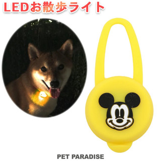 【PET PARADISE】寵物外出LED散步燈｜DISNEY米奇 2026經典熱賣款 寵物精品 遛狗發光 夜行安全