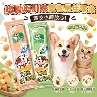 X Chew 愛可嚼 巧達/百匯起司塊/15g 狗狗零食 寵物零食 貓咪零食 寵物鼠零食 零食 寵物起司塊 狗狗起司塊
