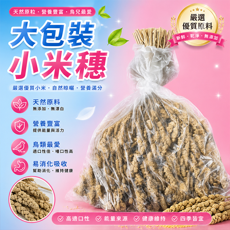 小野田寵物 現貨大包裝小米穗  台灣產栗米穗 現貨 現貨 現貨 米穗。栗米穗。 鸚鵡 文鳥 雀科 台灣種植