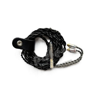 Sennheiser IE200 IE600 IE900 升級線 森海塞爾 耳機升級線｜劈飛好物｜大力揚耳機線 台灣製