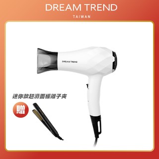 【 DREAM TREND 凱夢 】迷你雙電壓旅行吹風機 國際電壓 旅行吹風機 小吹風機 輕量吹風機 迷你吹風機