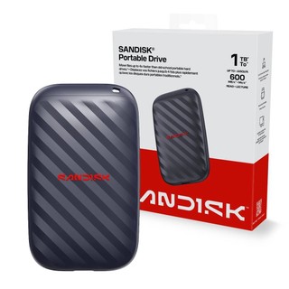 SanDisk PORTABLE 1TB SSD 外接硬碟 固態硬碟 公司貨 SDSSDE10