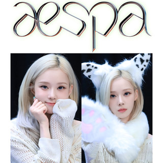aespa小卡 Winter小卡 自製卡2901-3000 冬天小卡 Winter特典 金冬天小卡