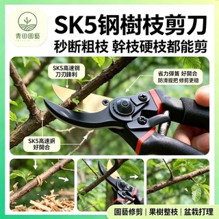 隔日達🔥SK5鋼樹枝剪刀 粗枝園林剪 修剪果樹 修枝剪 多用途花園剪刀 花卉 花剪 園藝剪 花藝剪刀 園藝剪刀 果樹剪