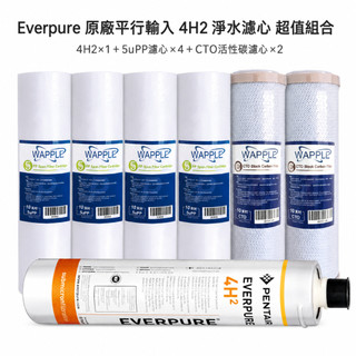 Everpure 原廠平行輸入 4H2 淨水濾心 超值組合 5uPP濾芯 抑垢除鉛活性碳 美國原裝進口