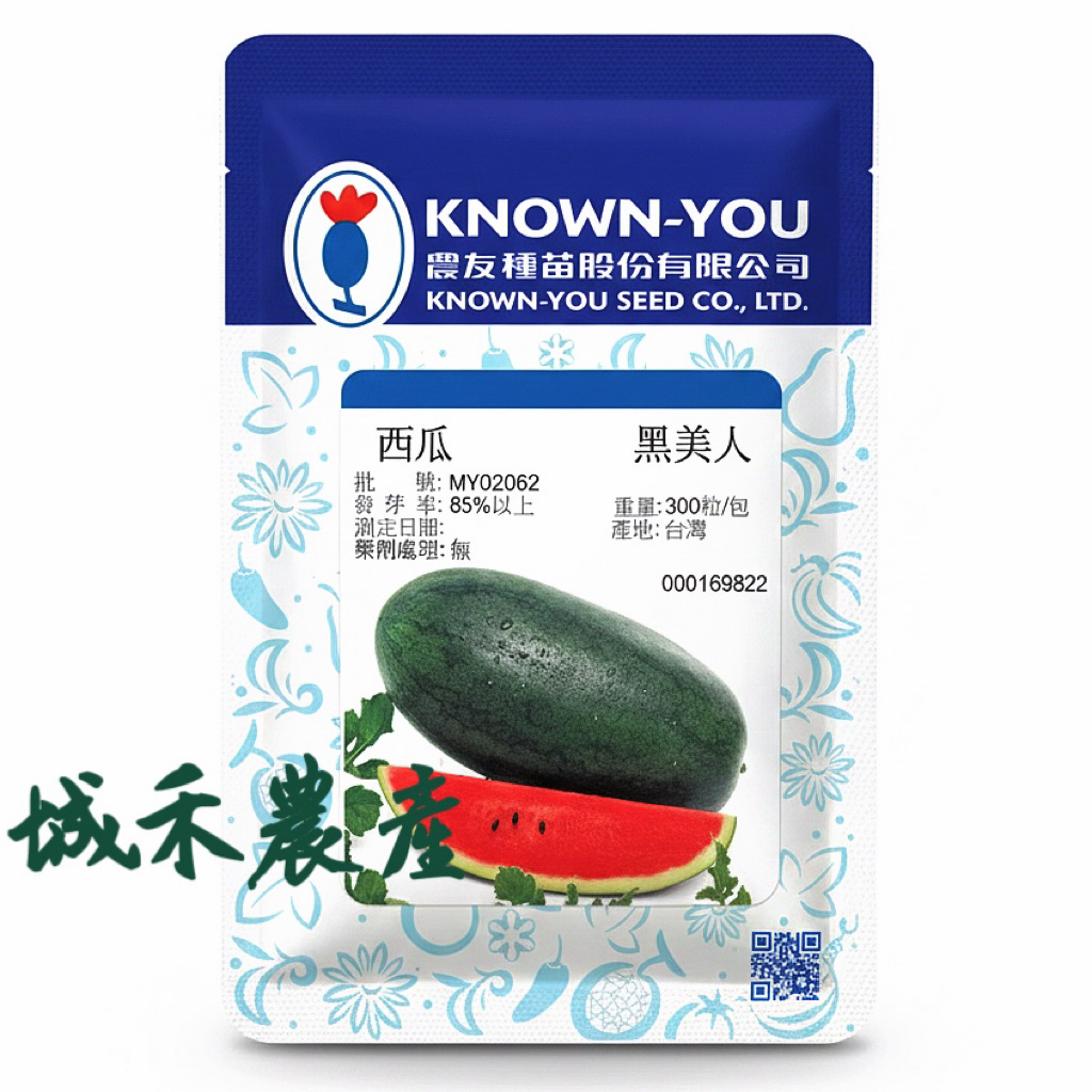 原包裝 300粒 農友黑美人西瓜種子 黑美人西瓜種子 西瓜種子 大西瓜種子 農友西瓜種子 黑皮西瓜種子 紅西瓜種子 種子
