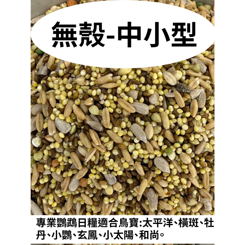 【現貨】藍亞仕 無殼飼料 中小型 300g/600g 真空分裝包 免撥殼不掉屑 綜合營養