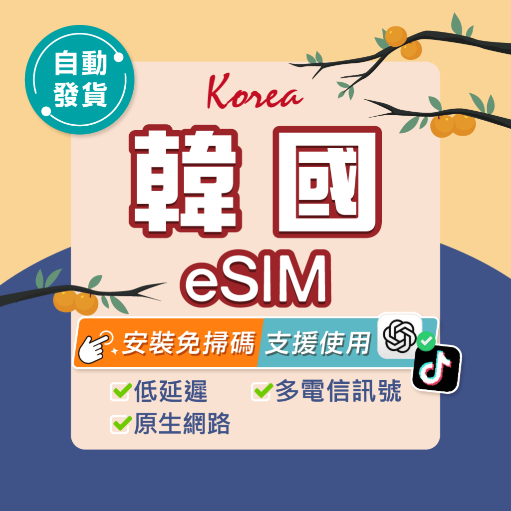 【環亞電訊】韓國eSIM｜附贈門號 24H自動發貨五分鐘取件 首爾 釜山 韓國網卡 韓國esim卡 esim韓國 吃到飽