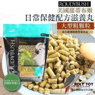波力嚴選 Roudybush 蘿蒂布姬滋養丸 日常保健配方 大型粗顆粒 營養丸 日糧 精緻飼料 波力鸚鵡二館