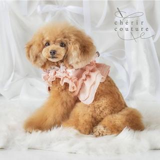 【PET PARADISE】斜紋軟呢珍珠寵物外出胸背/粉 (S)｜cherircouture 2026春裝新款 高級面料