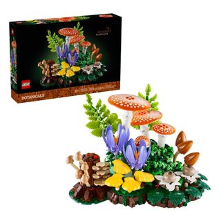 [ 必買站竹北店 ] LEGO 11505 林地蘑菇 Woodland Mushrooms