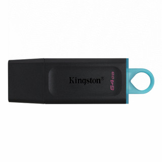 KINGSTON DTX/64GB 隨身碟