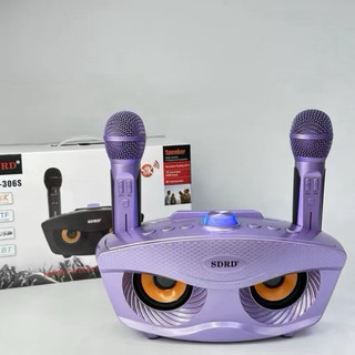台灣現貨 Sd306s貓頭鷹KTV 雙人行動卡拉ok 藍芽麥克風音響喇叭 sdrd 生日 露營 會議主持 端午 行動k歌