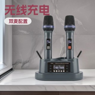手持無線麥克風 一拖二無線麥克風 會議講解麥克風 清晰高音質 專業級咪芯話筒 智能防嘯叫 UHF可調頻麥克風 多場景適用