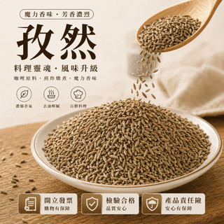 【辛娘香料】孜然 孜然粉 辛香料 香料 烤肉串 烤肉粉 肉串 土耳其 新疆 咖哩粉