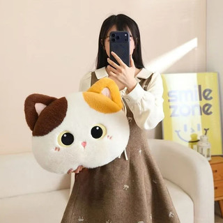 🔥限時免運🔥 抱枕 三花貓 動物系列 超萌貓咪 小貓抱枕 黑貓咪 公仔玩偶貓 辦公用靠墊 床上靠墊 送女生