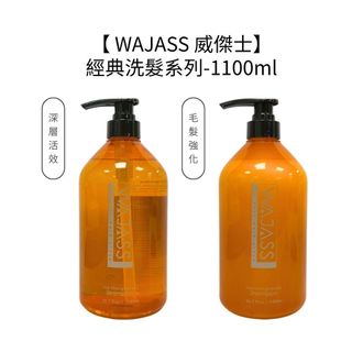 WAJASS 威傑士 毛髮強化 深層活效 洗髮精 1100ml 經典洗護 受損 油性 各類髮質 公司貨【堤緹美妍】