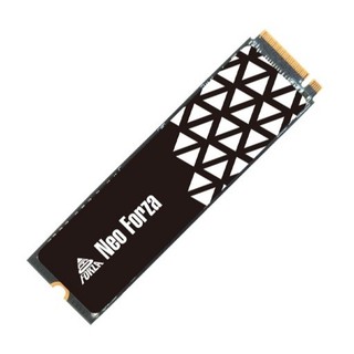 Neo Forza 凌航 NFP055 1TB PCIe Gen3 SSD固態硬碟 SSD