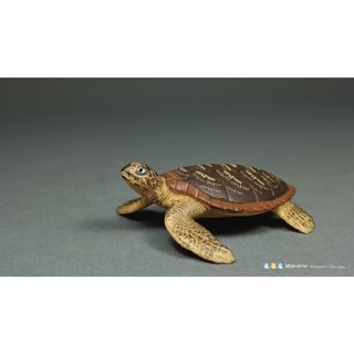 TWTS 精選 高擬真 玳瑁 Hawksbill Sea Turtle 極危Critically Endange 海龜