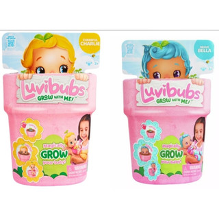 2 Kids<Moose>LUVIBUBS 萌芽小盆友 盆栽娃娃 絨毛 澆水 查理 貝拉 正版 原價1299