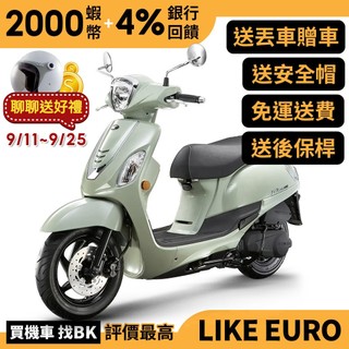 光陽 萊客 LIKE EURO 125 碟煞 送後保桿 丟車贈車 SJ25XJ 全新車 【Buybike購機車】 BK