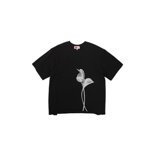 ILLAY “Calla Lily” Raw Hem Tee