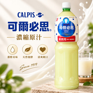 【可爾必思 CALPIS】濃縮原汁1500ml｜乳酸飲料 可爾必思原液 飲料店 手搖飲 業務用 商用大容量