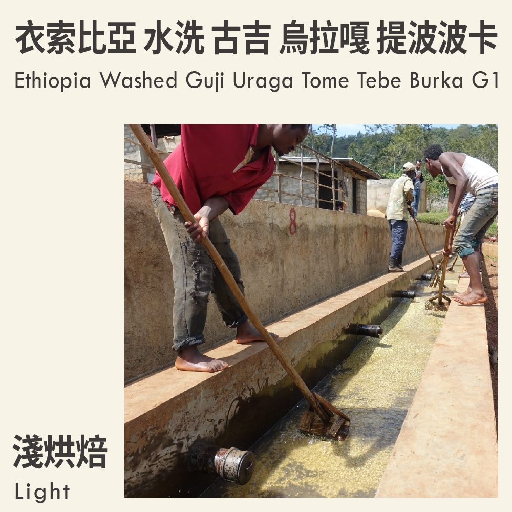 KaKaLove 咖啡-衣索比亞 水洗 古吉 烏拉嘎 提波波卡 G1 0.5磅